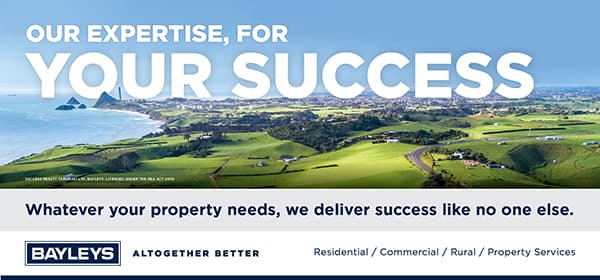 Bayleys Taranaki creative